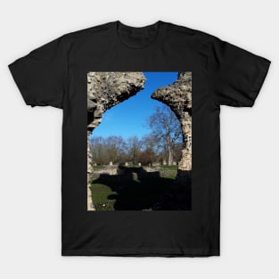 Ruins T-Shirt